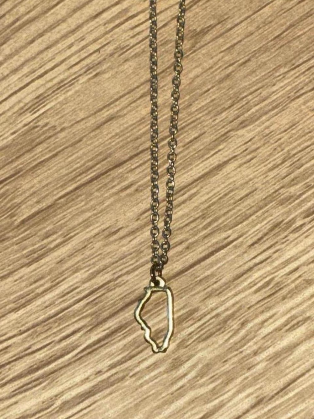 Francesca's Collections Gold Illinois State Pendant Necklace